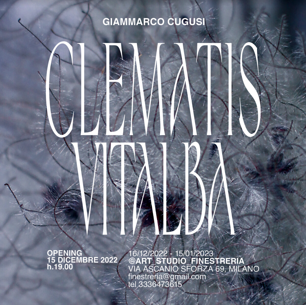 Mostra d’arte contemporanea: Clematis Vitalba
