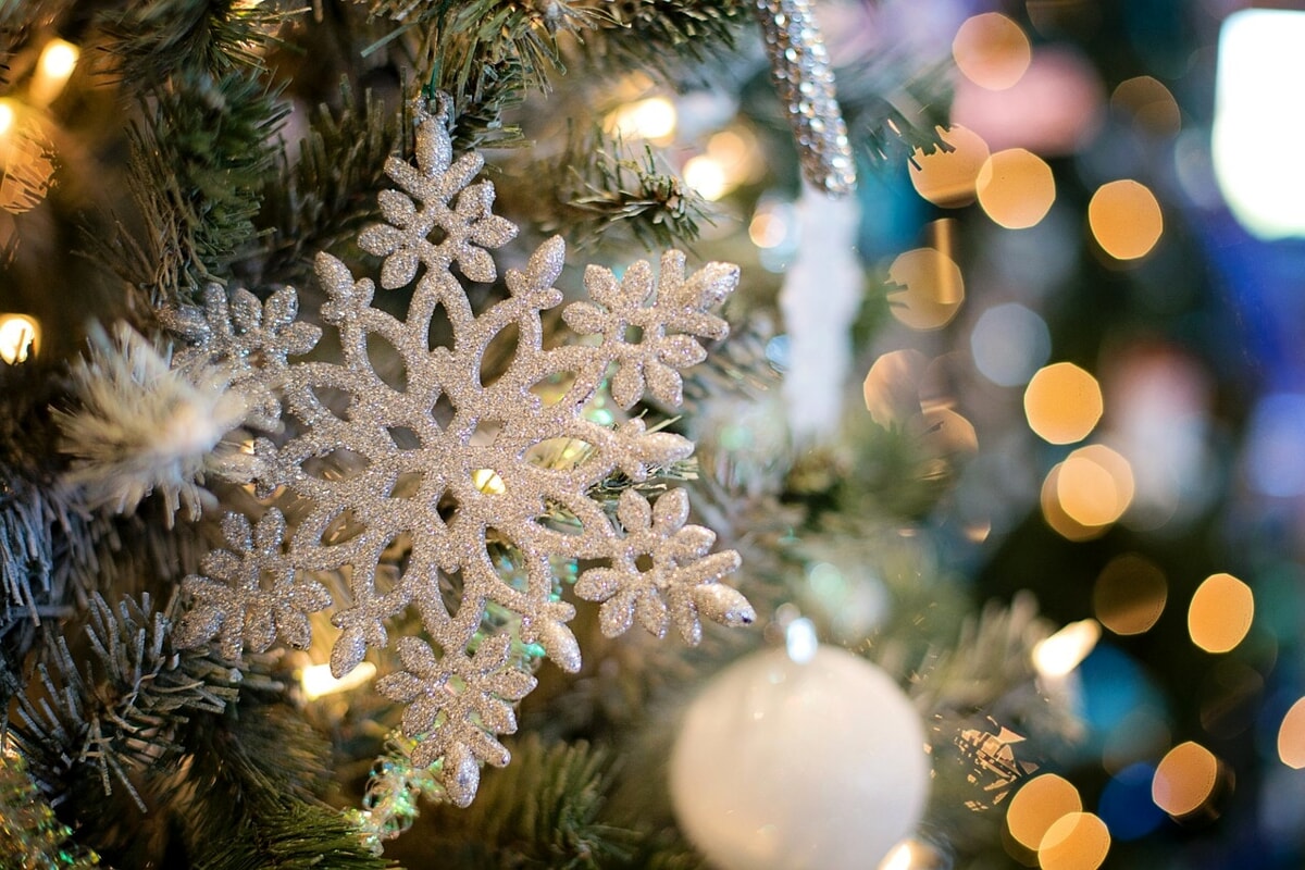 Colazione e letture sotto l’albero: l’appuntamento di Natale da Mitades