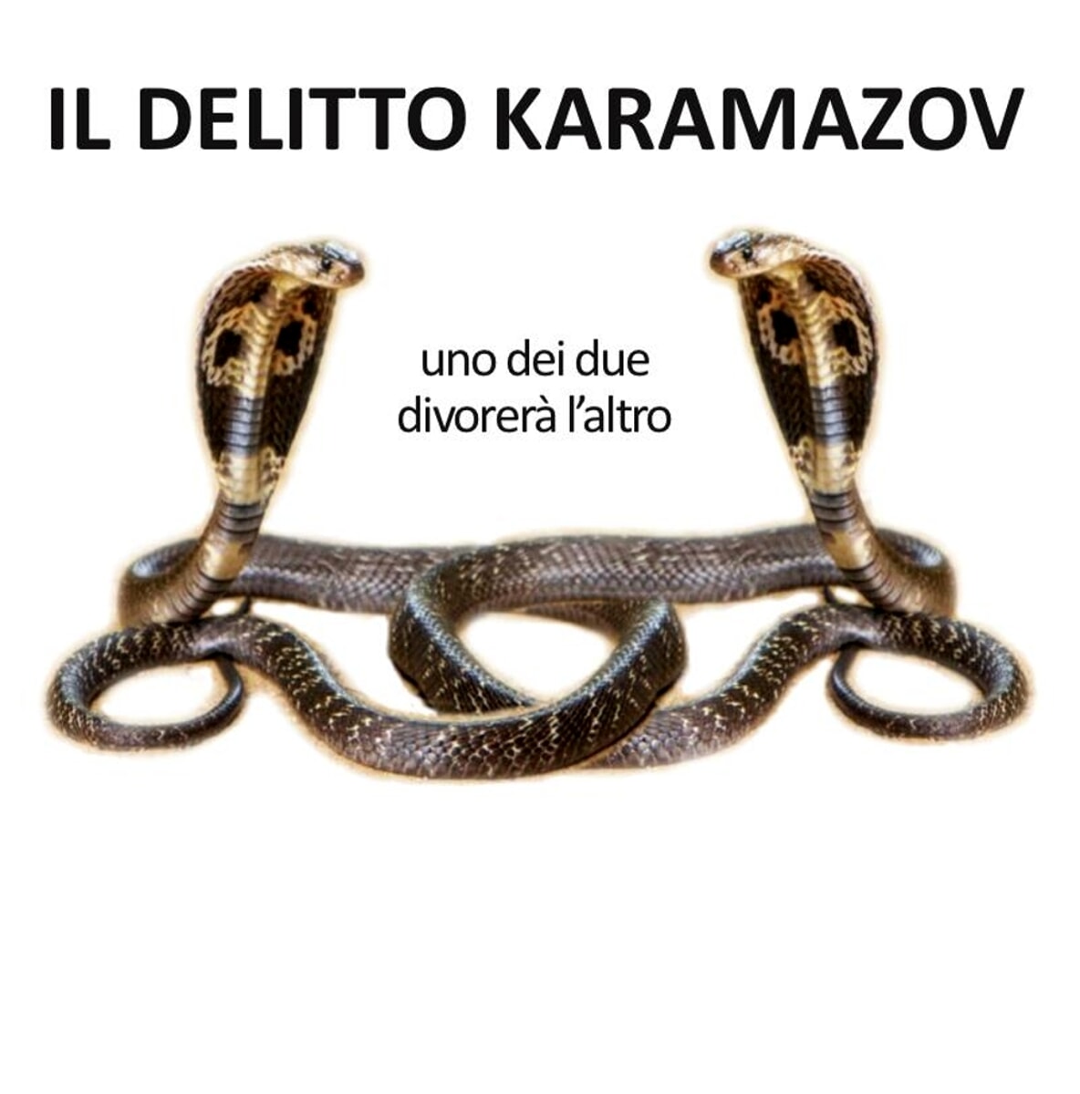 Il delitto karamazov