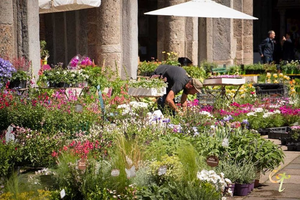 Fiori, terrazzi e giardini: a Milano arriva la nuova edizione di Flora et Decora