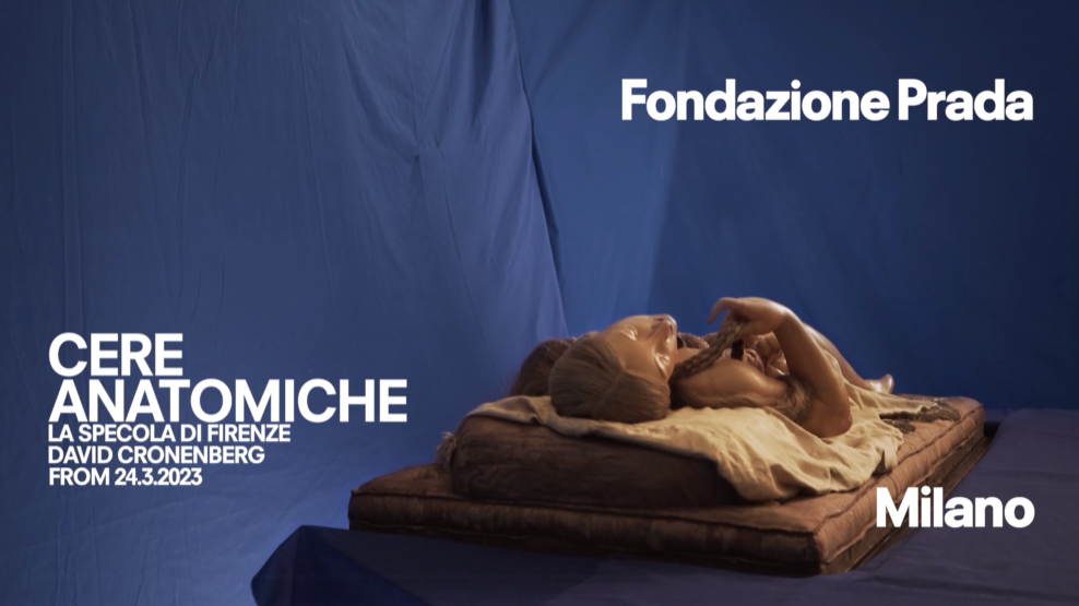 In Fondazione Prada a Milano le Cere anatomiche del Museo La Specola